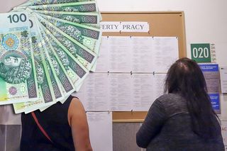  Godzina pracy za 110 zł. To umie zrobić każdy