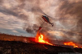 Pożar w Biebrzańskim Parku Narodowym - 30.03.2025