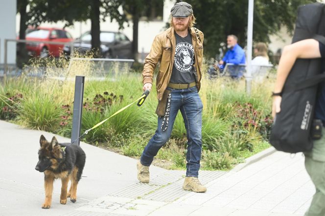 Te psy skradły serca gwiazd! 