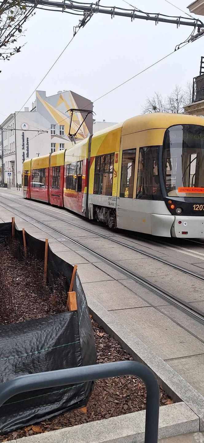 Łódź. Tramwaje wykoleił się na Legionów. Staranował trzy pojazdy [ZDJĘCIA].