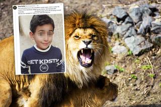 Lew rozszarpał 6-letniego chłopca w zoo! Horror na oczach rodziny. WIDEO