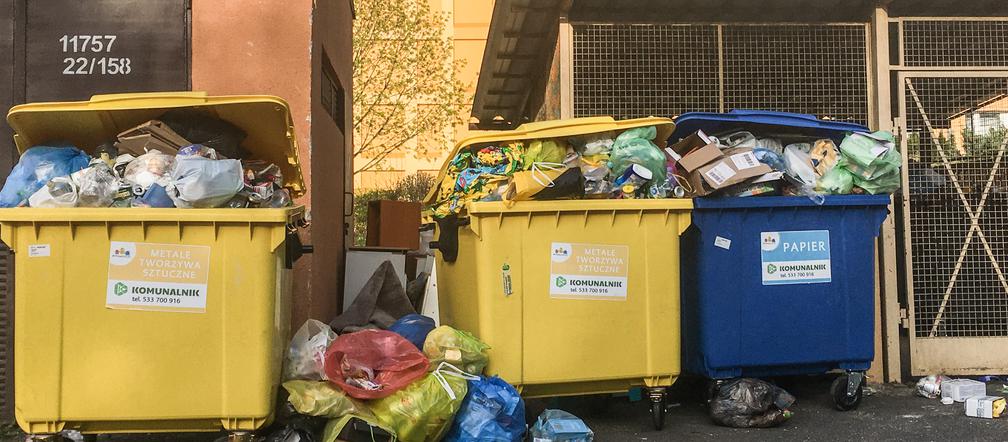 Bydgoszcz tonie w śmieciach. Będzie kolejna epidemia?