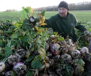 Rolnicy Podlasie. Andrzej z Plutycz oraz jego gospodarstwo