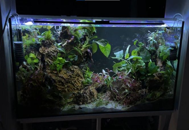 Rozmawiamy z Tomaszem Wiśniewskim, założycielem Aqua Dreams Bydgoszcz