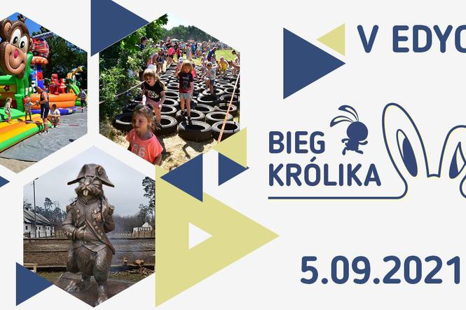 Bieg Królika