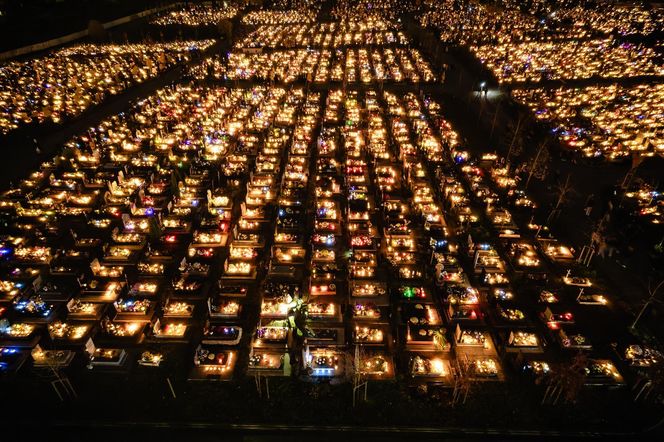 1 listopada na Cmentarzu Łostowickim w Gdańsku. Tak wygląda w dniu Wszystkich Świętych
