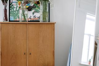 Rośliny we wnętrzu