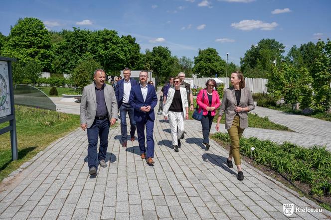 Potomek Dęba Bartka wyrośnie w Ogrodzie Botanicznym w Kielcach