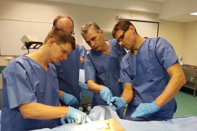 Kardiolodzy trenowali implantację podskórnego układu defibrylującego S-ICD na preparatach anatomicznych