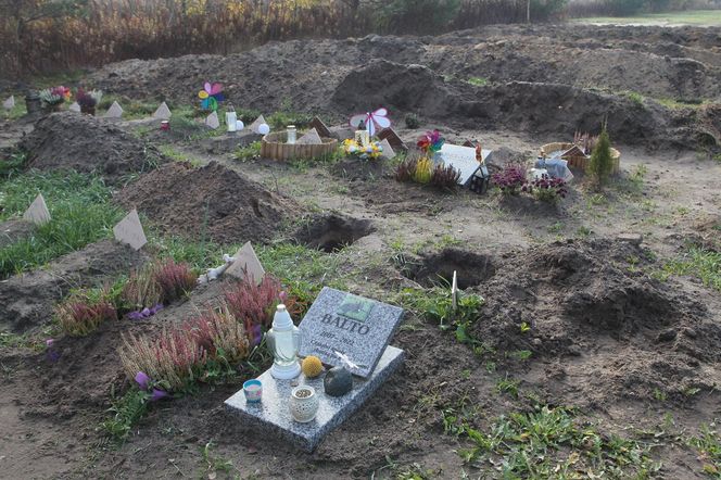 Niezwykły cmentarz pod Warszawą. To miejsce nasycone miłością i żalem. „Przychodzę tutaj co tydzień”