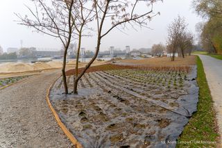 Nowa miejska plaża w Rzeszowie już powstaje