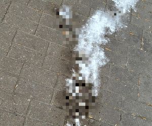 Atak nożownika pod kebabem w Warszawie