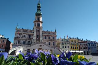 Zamość: wiosna zadomowiła się na dobre! [GALERIA]