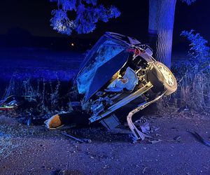 ​Samochód osobowy uderzył w drzewo. Groźny nocny wypadek w Lesznie