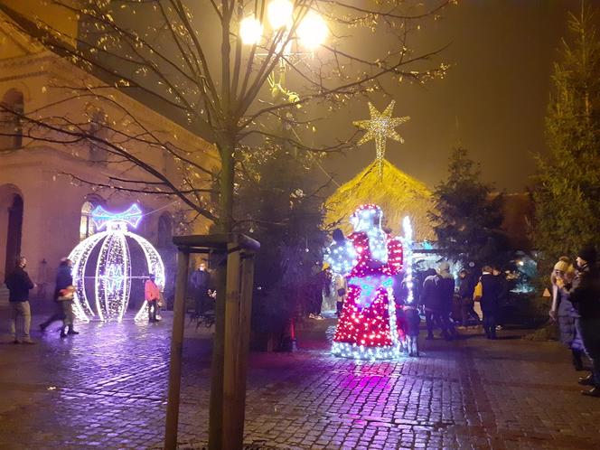 Świąteczne akcenty na toruńskiej starówce