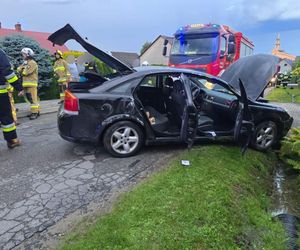 Policjanci łaskawi dla niedoświadczonej kierującej