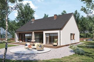 C365r Przejrzysty wariant XVI - wizualizacje, plany, rysunki