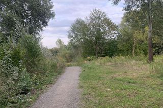 Czyżkówko wyróżnia się niską zabudową, głównie jedno- lub kilkurodzinną