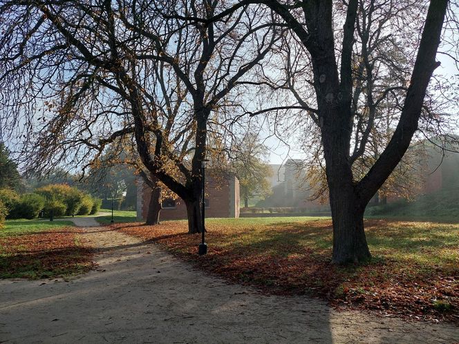 Zamojski Park jesienią