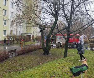 Pożar bloku przy ul. Łukowskiej w Warszawie