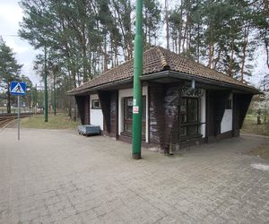 Tak po modernizacji będzie wyglądała pętla tramwajowa w Lesie Gdańskim! 