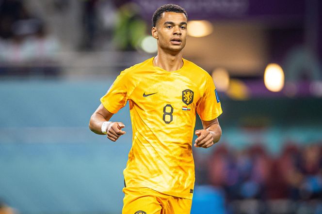 Cody Gakpo - gwiazda Holandii