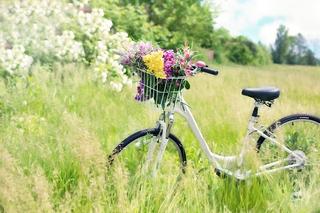 Jutro w Zielonej Górze Rajd Rowerowe Rozpoczęcie Wakacji