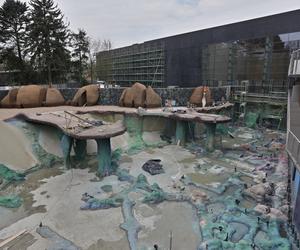 Afrykarium we Wrocławiu - budowa basenu zewnętrznego dla zwierząt
