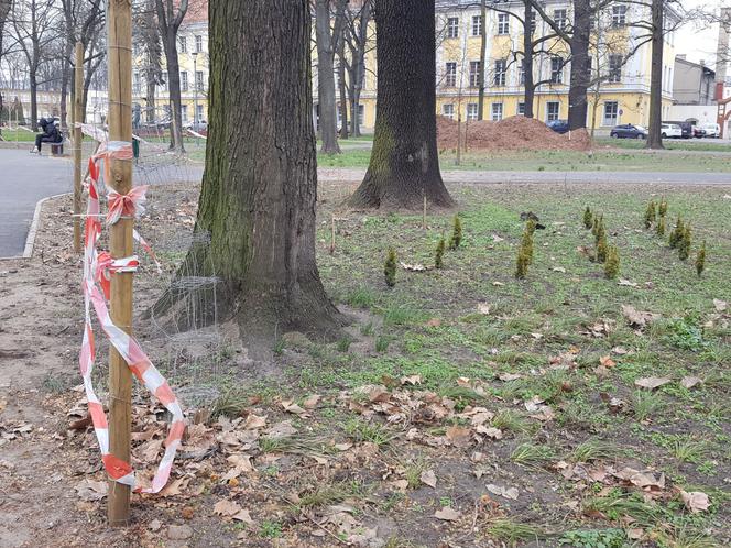 W parku na Pl. Kościuszki przygotowania do nowego sezonu