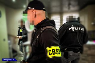 Policjanci CBŚP pomogli zatrzymać w Holandii szefa gangu narkotykowego