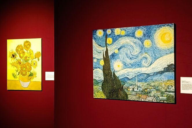 Wystawa "VAN GOGH – The Immersive Exhibition" w Szczecinie