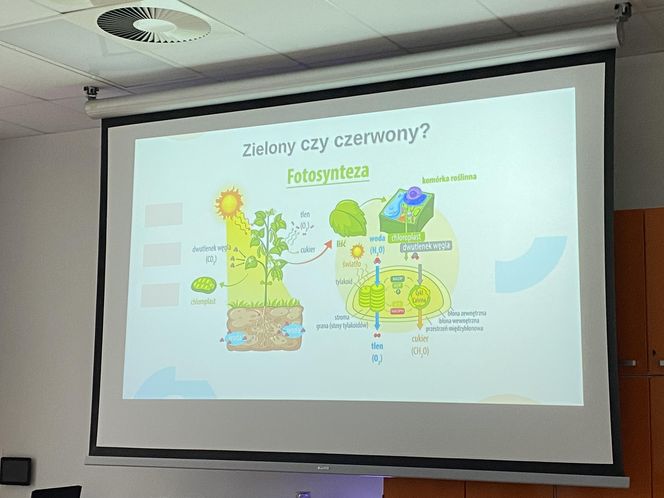 Słoneczny początek wakacji w Olsztynie! Eska Summer City w Kortosferze