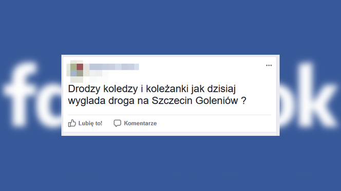 Najczęściej zadawane pytania na szczecińskich grupach podczas świąt Bożego Narodzenia