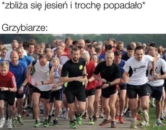Nóż się w kieszeni otwiera i Janusz i szykuje się na grzyby! MEMY o grzybobraniu [GALERIA]