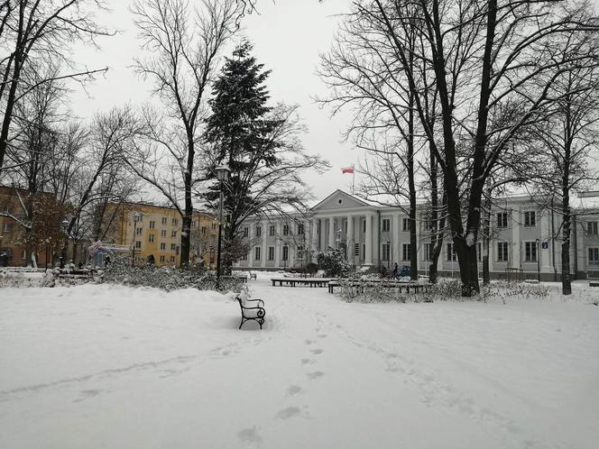 Zimowe klimaty w Siedlcach. Zobacz zdjęcia!