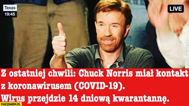 Co Polaków śmieszyło w czasie pandemii? Uczone z UMCS napisały o tym książkę 