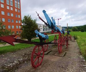 Płonące Ptaki w Koszalinie