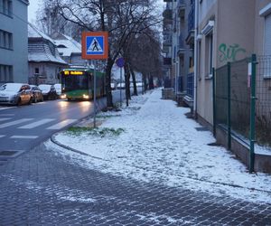 Śnieg spadł w Poznaniu