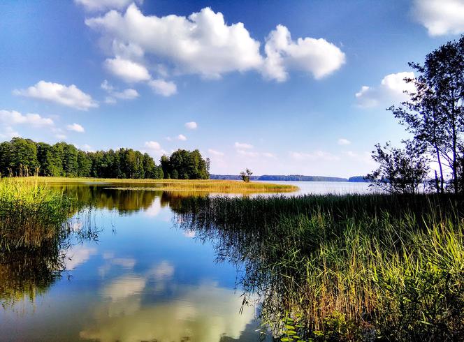 Mazury