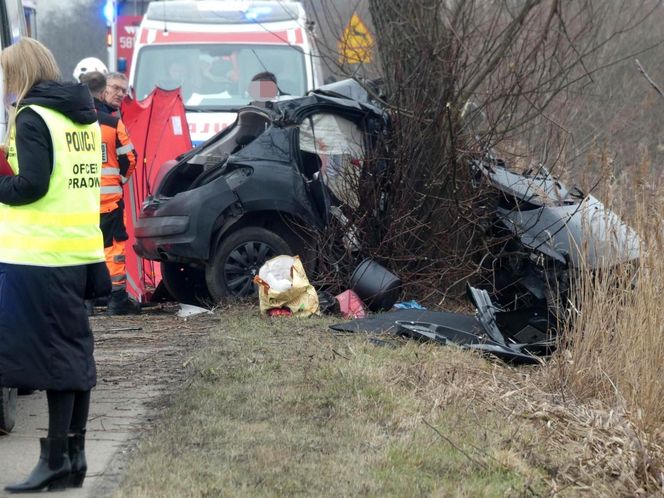 Poważny wypadek pod Warszawą. Malutki peugeot uderzył w drzewo. Nie żyją dwie osoby