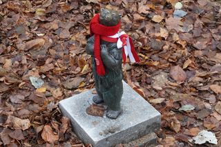 WidziMisie w Białymstoku gotowe na zimę