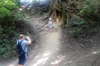 Sandomierz znany i nieznany. Co warto zobaczyć?