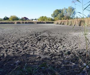 Wyschnięte Jeziorko Imielińskie w Warszawie