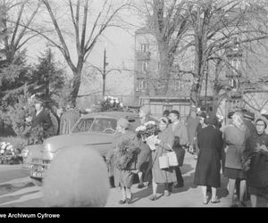 Cmentarze Powązkowskie - 1946-1963