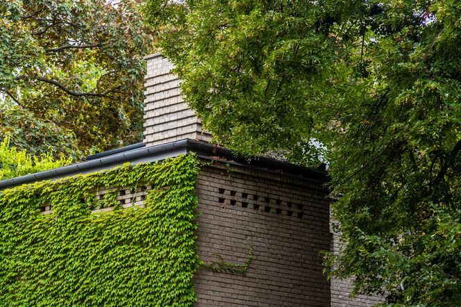 Willa Romualda Gutta na Kolonii Profesorskiej w Warszawie