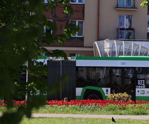 Najkrótsza linia autobusowa komunikacji miejskiej w Białymstoku. Sprawdź ile ma przystanków