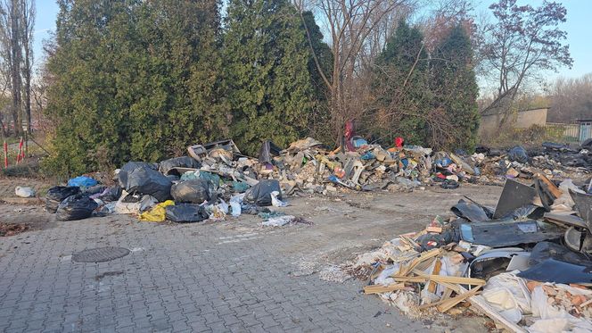 Duże zmiany Nowej Hucie. Trwa wielkie sprzątanie po latach zaniedbań 