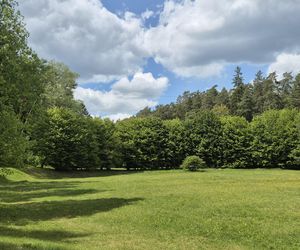 Stadion Leśny w Olsztynie dawniej i dziś. To tam bito rekordy świata w lekkiej atletyce