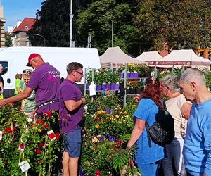 50. edycja kiermaszu Pamiętajcie o ogrodach
