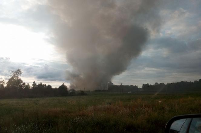 Pożar fermy kurcząt pod Toruniem. Z ogniem walczyło aż 12 zastępów straży pożarnej! [WIDEO]